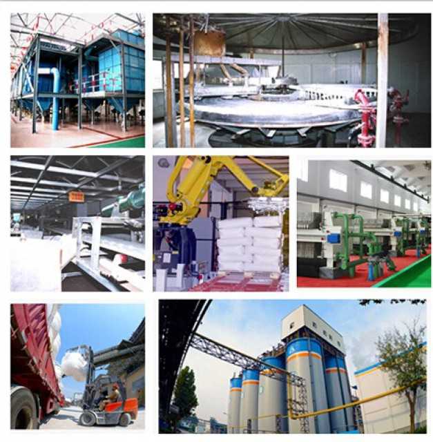 Shandong Xiangsong Chemical Co. Ltd